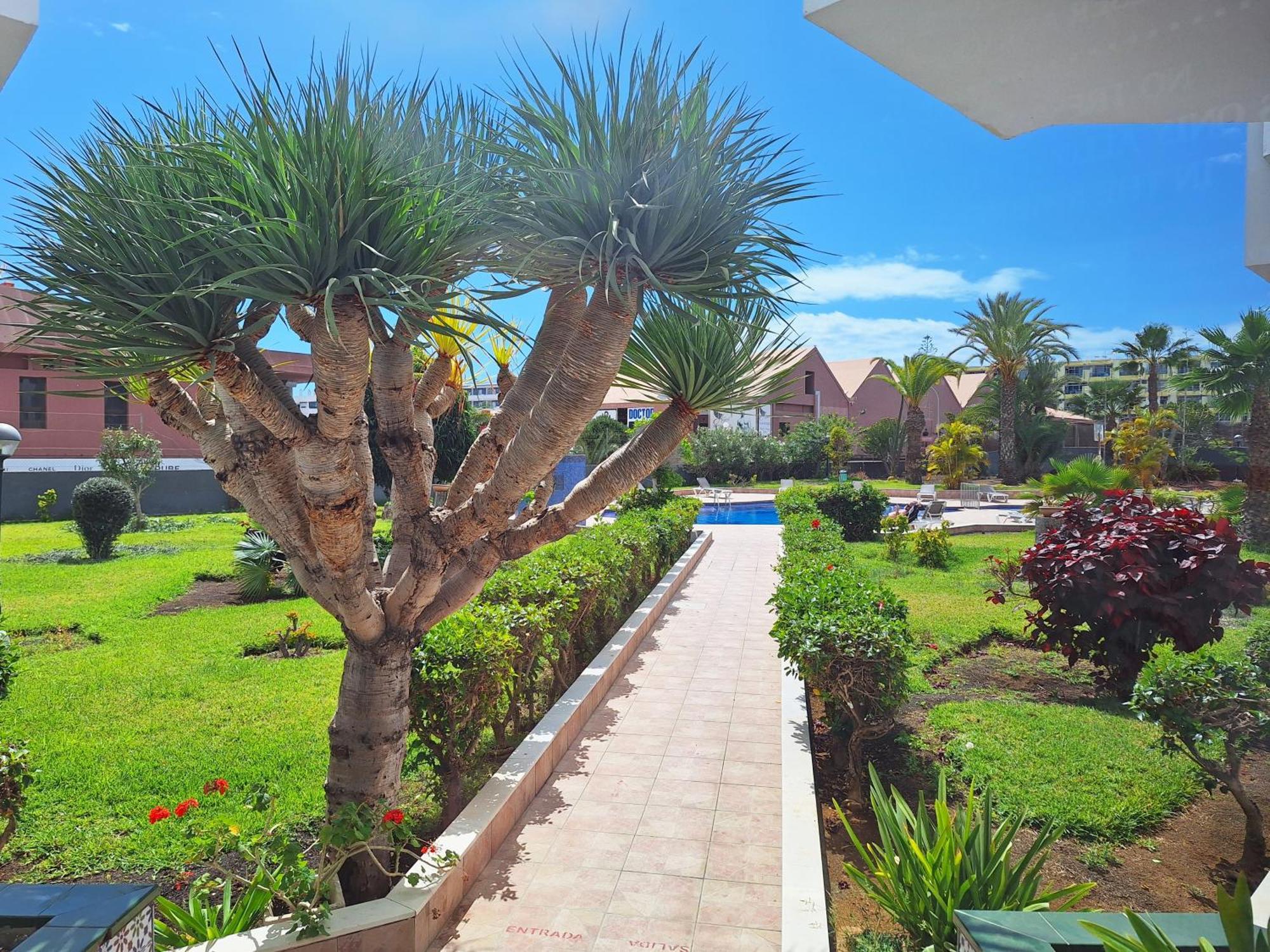 Stylish 2-Bedroom Apartment Yumbo Maspalomas  Kültér fotó